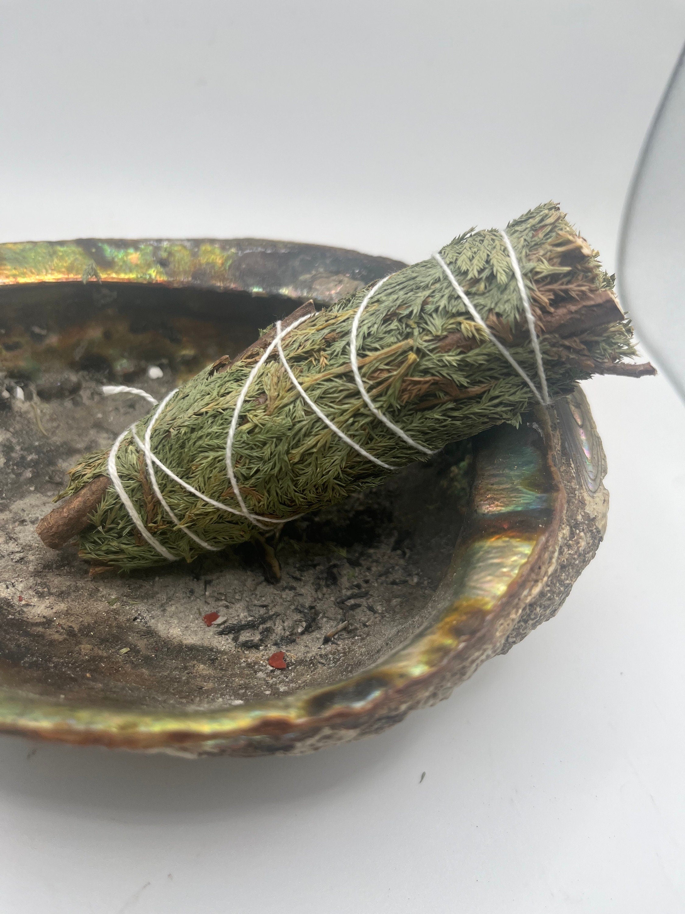 Cedar Sage